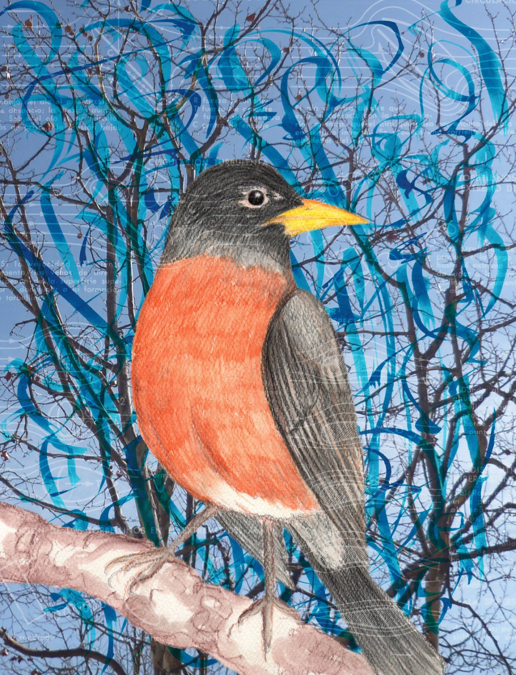 Series: Three Different&nbsp;Birds